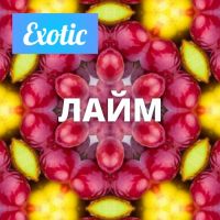 Exotic ЛАЙМ 10мл