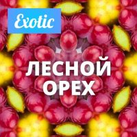Exotic ЛЕСНОЙ ОРЕХ 10мл