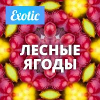 Exotic ЛЕСНЫЕ ЯГОДЫ 10мл